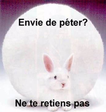 COMRIS?
